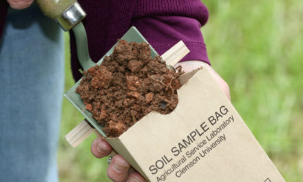 Soil Testing