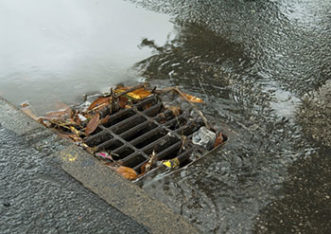Storm drains carry rainwater directly to rivers and streams.