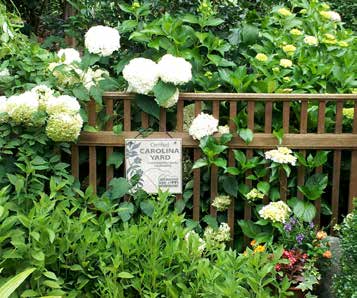 Carolina Yards: An Overview of Sustainable Landscaping Practices