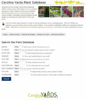 Carolina Yards plant database website screenshot