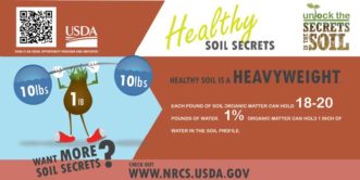 Healthy soil infographic