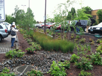 Bioswale in a parking lot in Portland, OR.