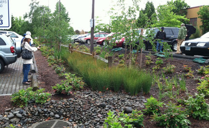 Bioswale in a parking lot in Portland, OR.