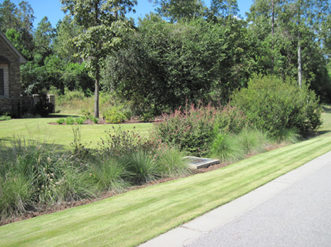 Vegetated bioswale in front of a home in The Cove subdivision in Sumter, SC.