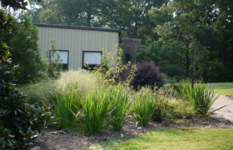 Rain garden installed to manage runoff from Hayden Conference Center roof at the SC Botanical Gardens in Clemson, SC.