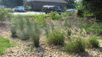 Rain Garden instillation