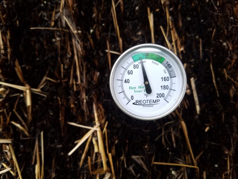 A compost thermometer is useful to determine when a bale has cooled sufficiently for planting. 