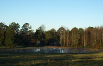 A well-managed pond will provide recreational fishing for years.