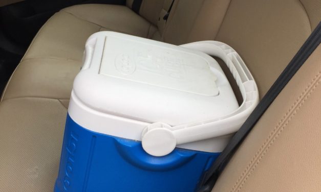 Traveling with Food