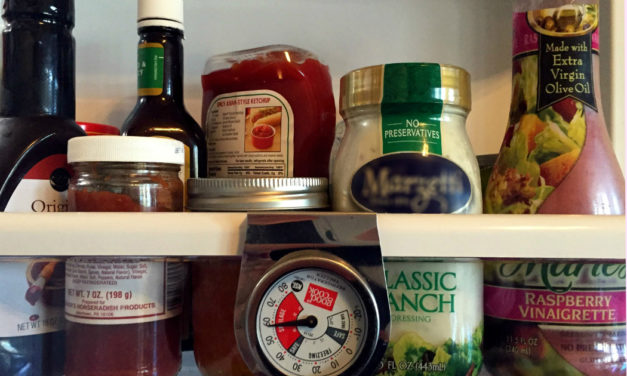 Food Safety in Power Outages