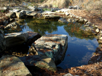 An ornamental pool adds enjoyment along with providing an environment for plants and animals. 