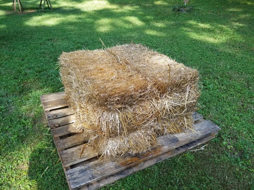 Bales placed on wooden pallets allows for drainage. 