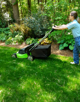 Because of partial shade, this turfgrass tall fescue lawn is mowed at the upper end of its mowing height range. The taller leaf blades will then intercept more sunlight for better turfgrass growth.