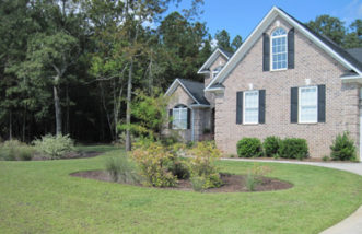 Bioretention cells in a residential lawn.