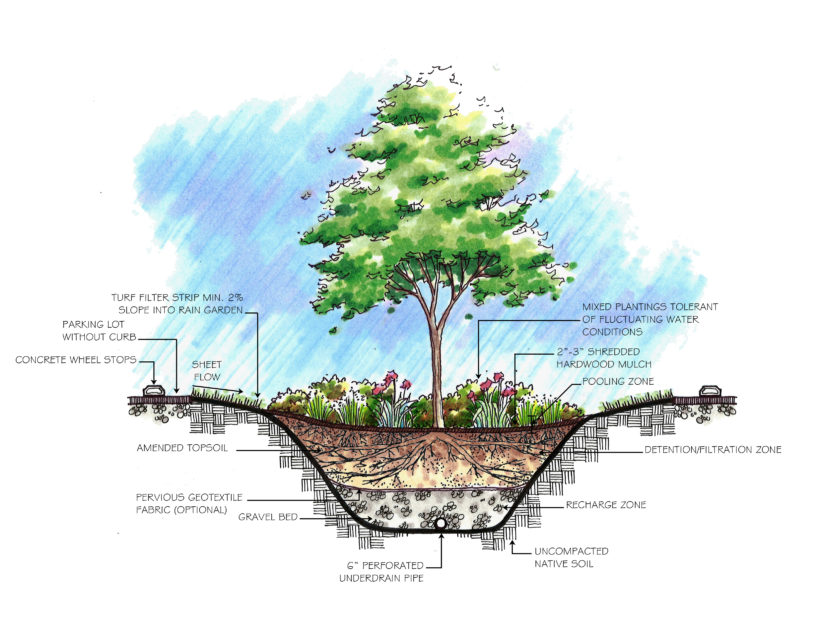 Figure 2. Example of a bioretention cell that may be used in parking lot. This bioretention cell receives runoff as overland flow and an underdrain is used to help the cell manage larger storm events.