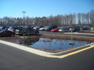 Figure 4. This parking lot bioretention cell has standing water outside of the recommended time to drain, an indicator that the cell may be clogged. Photo courtesy Bill Lord, NC State University.