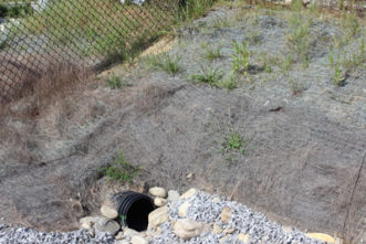 Figure 6. Steep slopes and exposed soils along this bank resulted in erosion and gullying, which can attribute to sedimentation in downstream best management practices like bioretention cells. Owners took action to repair this site by seeding the area with grass to stabilize, and installing an erosion control blanket to provide protection until grass establishes.