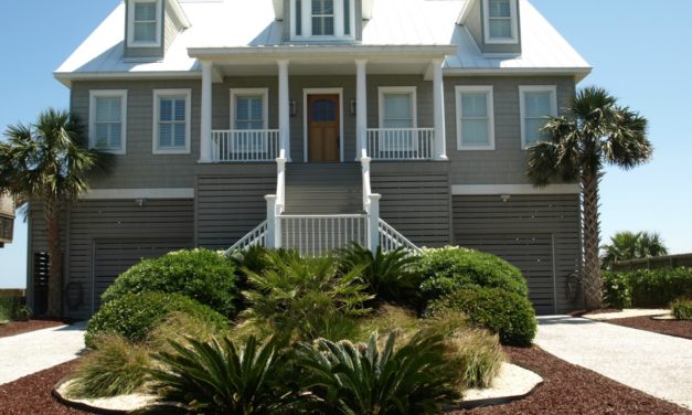 Salt Tolerant Plants for the South Carolina Coast