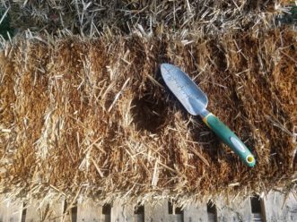 Divots can be dug easily with a hand trowel. 