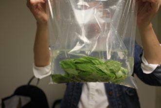 Double bag method for weighting submerged herb or garlic in 3% citric acid solution.