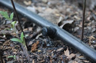 Drip irrigation applies water directly to soil. 