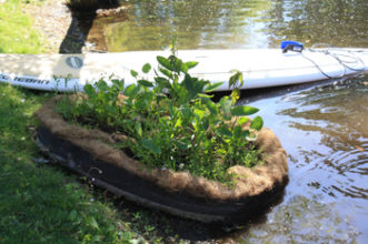 Floating wetland at installation.