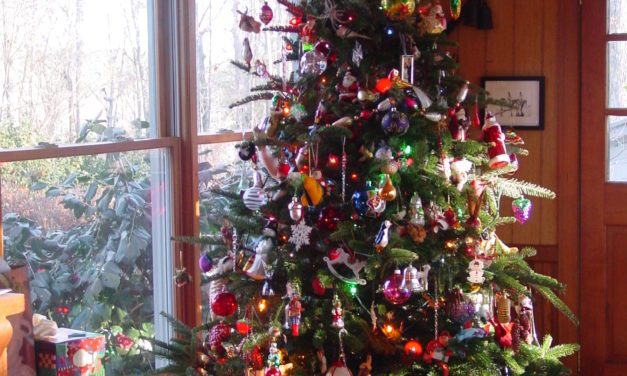 Christmas Tree Safety Tips