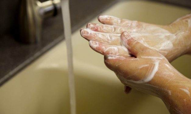 Food safety starts with clean hands.