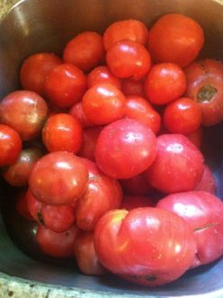 Fresh, vine ripened tomatoes. 