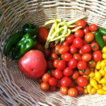 Planning a Garden