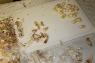 Garlic cloves prepared for coarse chopping.