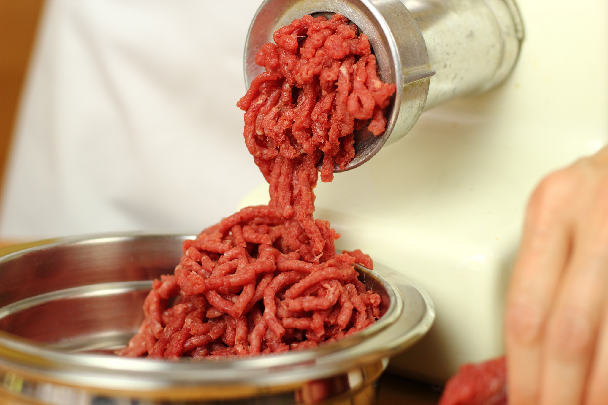 can-dogs-eat-raw-ground-beef