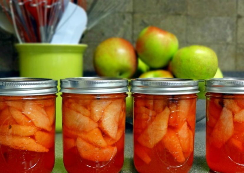 Pressure Canner Heat Source - Healthy Canning in Partnership with Canning  for beginners, safely by the book