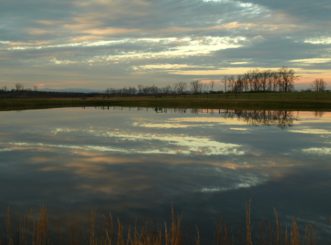 Liming fish ponds also improves several important water quality parameters. 