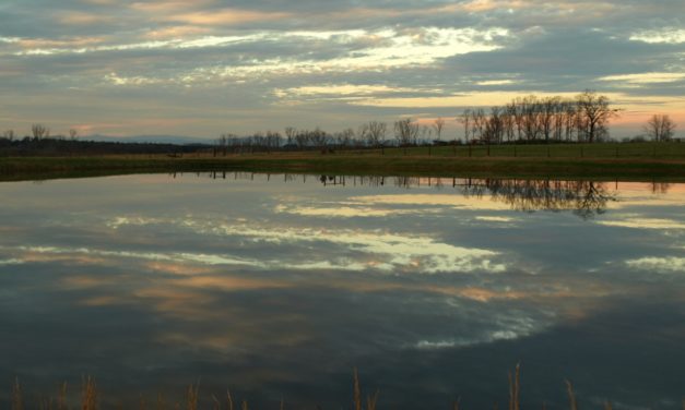 Liming Recreational Ponds