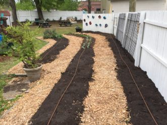 Mounded raised beds without sides are easily formed with pathways between rows for access.