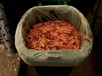 Pasta that will go to waste from a campus dining hall