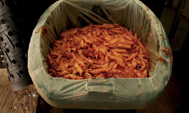 Food Waste