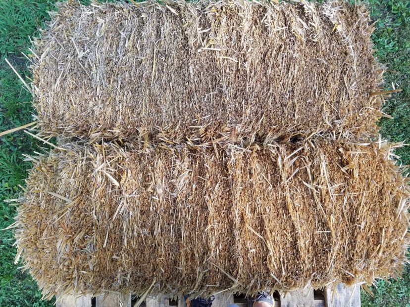 Place bale with cut end facing up.