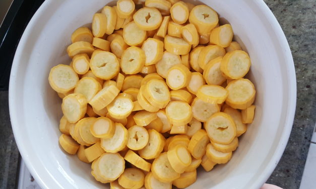 Using & Storing Summer Squash