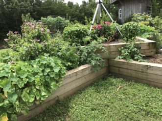 Raised beds can be used for vegetable and flower gardening. 