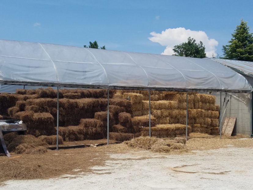 Straw bales (right) are easily purchased from local dealers.