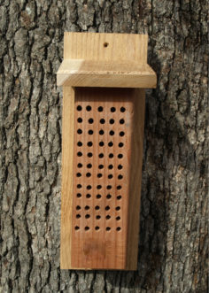 This is an example of a mason bee nest box.