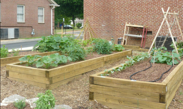 Treated Wood in the Landscape