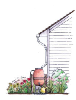 Water is directed to the rain barrel using gutters, downspout, rain chain or simple sheet flow. Ensure that the point of water entry is screened and secure to keep mosquitoes out. 