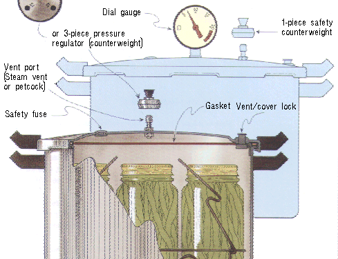 Choose the Right Canner for Home Canning