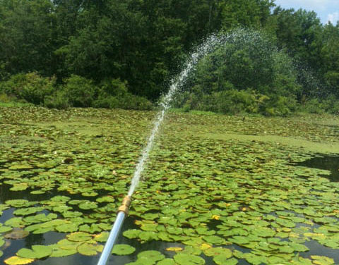 Chemical Control of Aquatic Weeds