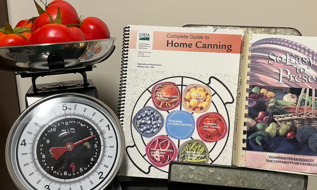 Safe Canning Recipes?