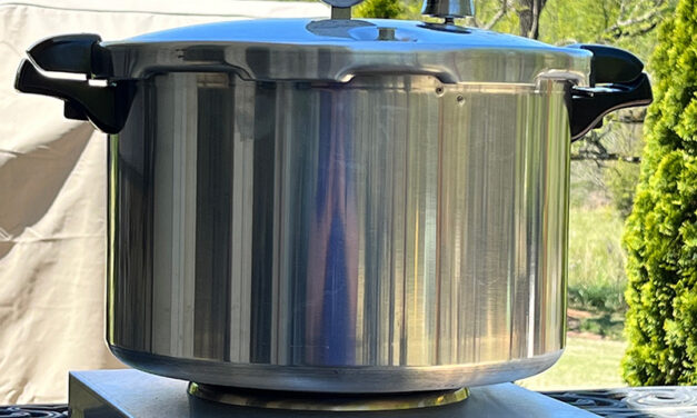 Alternatives to Smooth Top Ranges