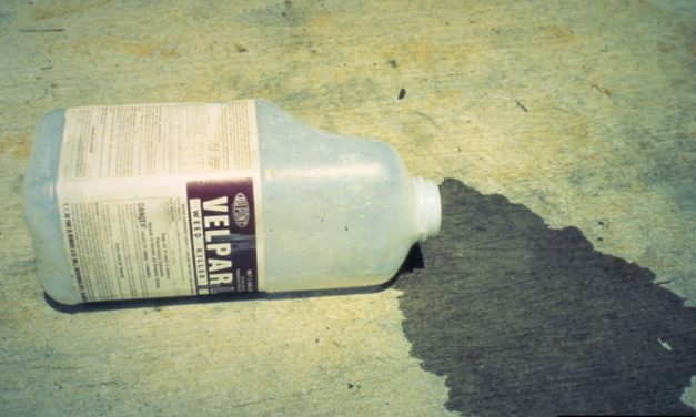 Pesticide Spill. ©USDA Forest Service - Region 8 - Southern , USDA Forest Service, Bugwood.org